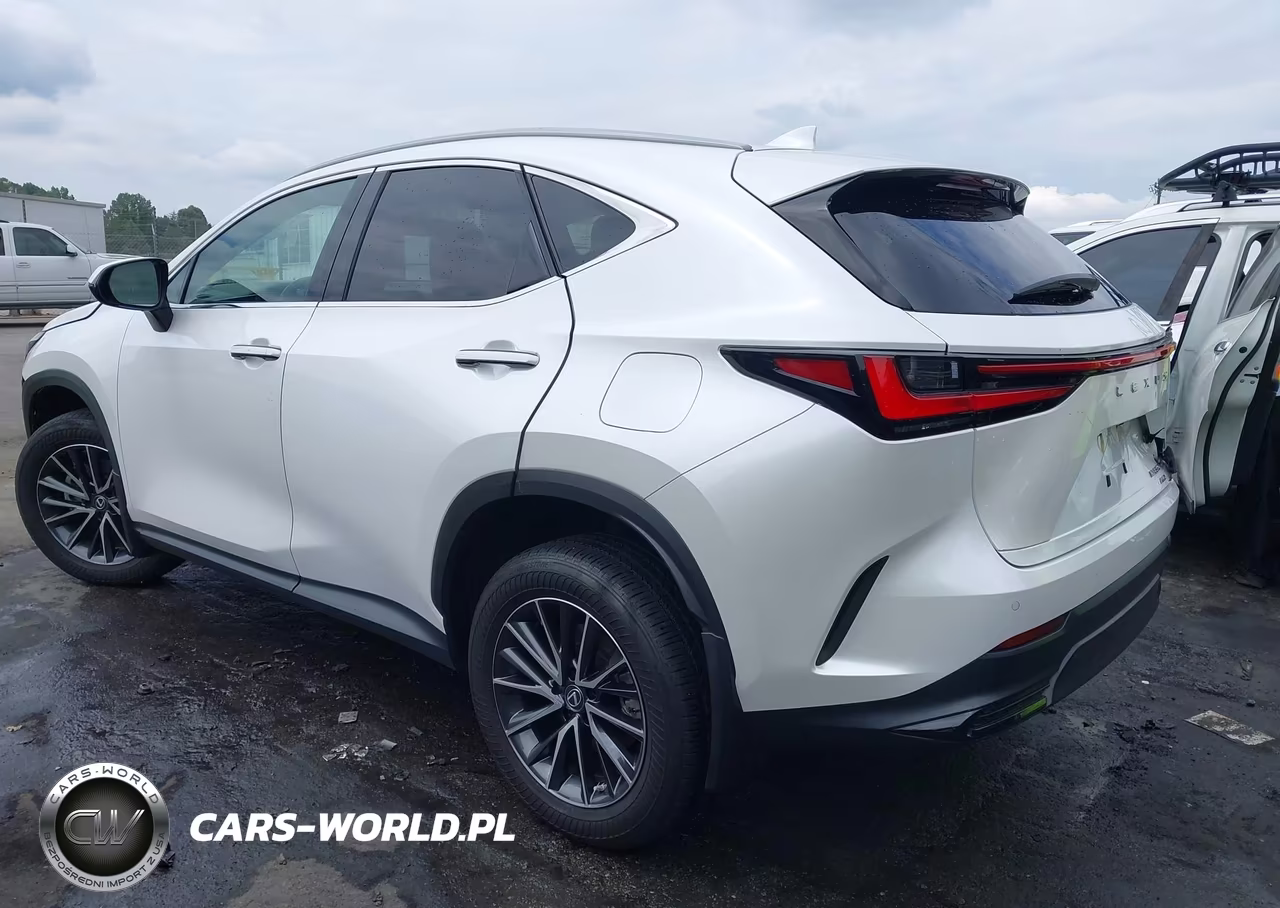 2022 Lexus Nx 350 Premium VIN:2T2GGCEZ4NC011417 - 3