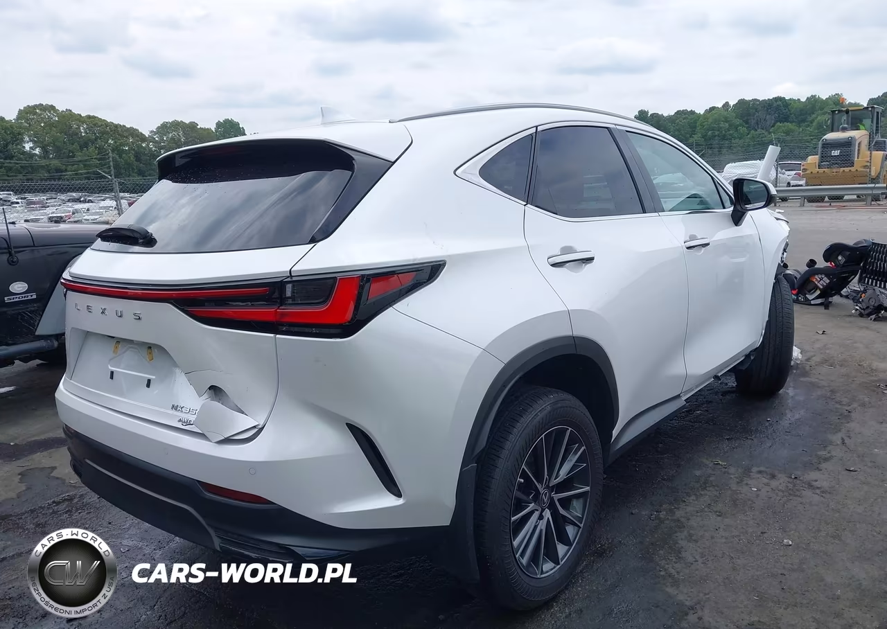 2022 Lexus Nx 350 Premium VIN:2T2GGCEZ4NC011417 - 4