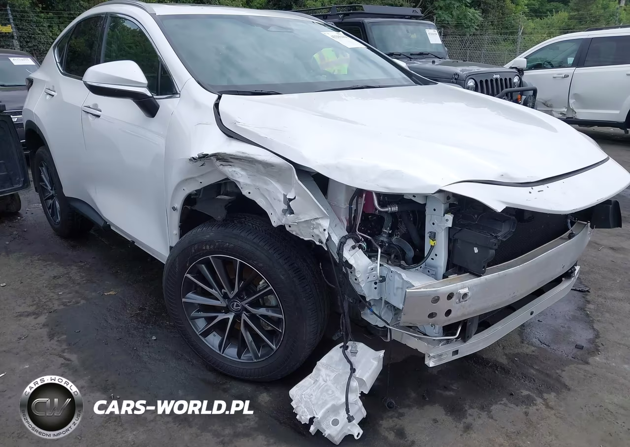 2022 Lexus Nx 350 Premium VIN:2T2GGCEZ4NC011417 - 6