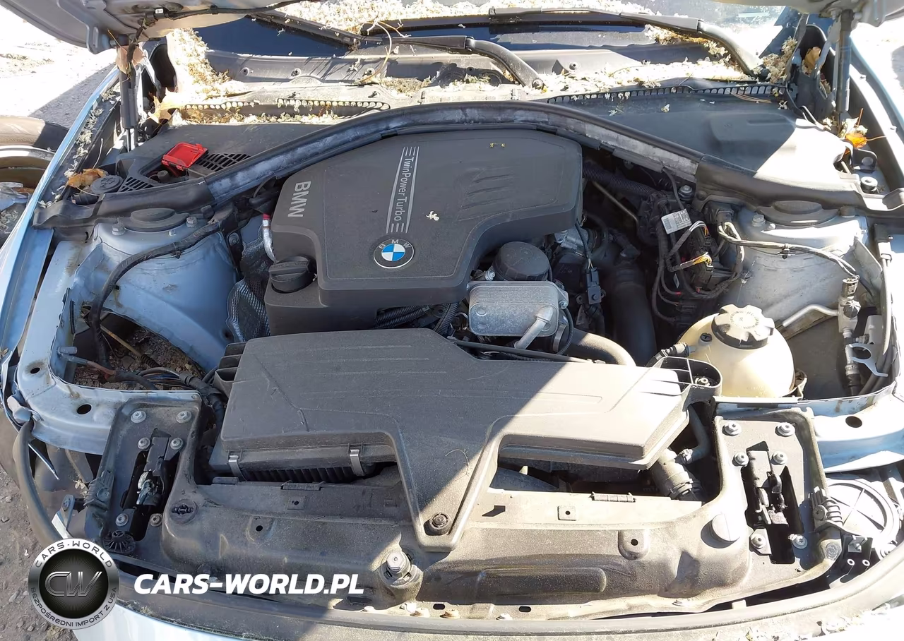 2014 BMW 320I xDrive VIN:WBA3C3C54EF983571 - 10
