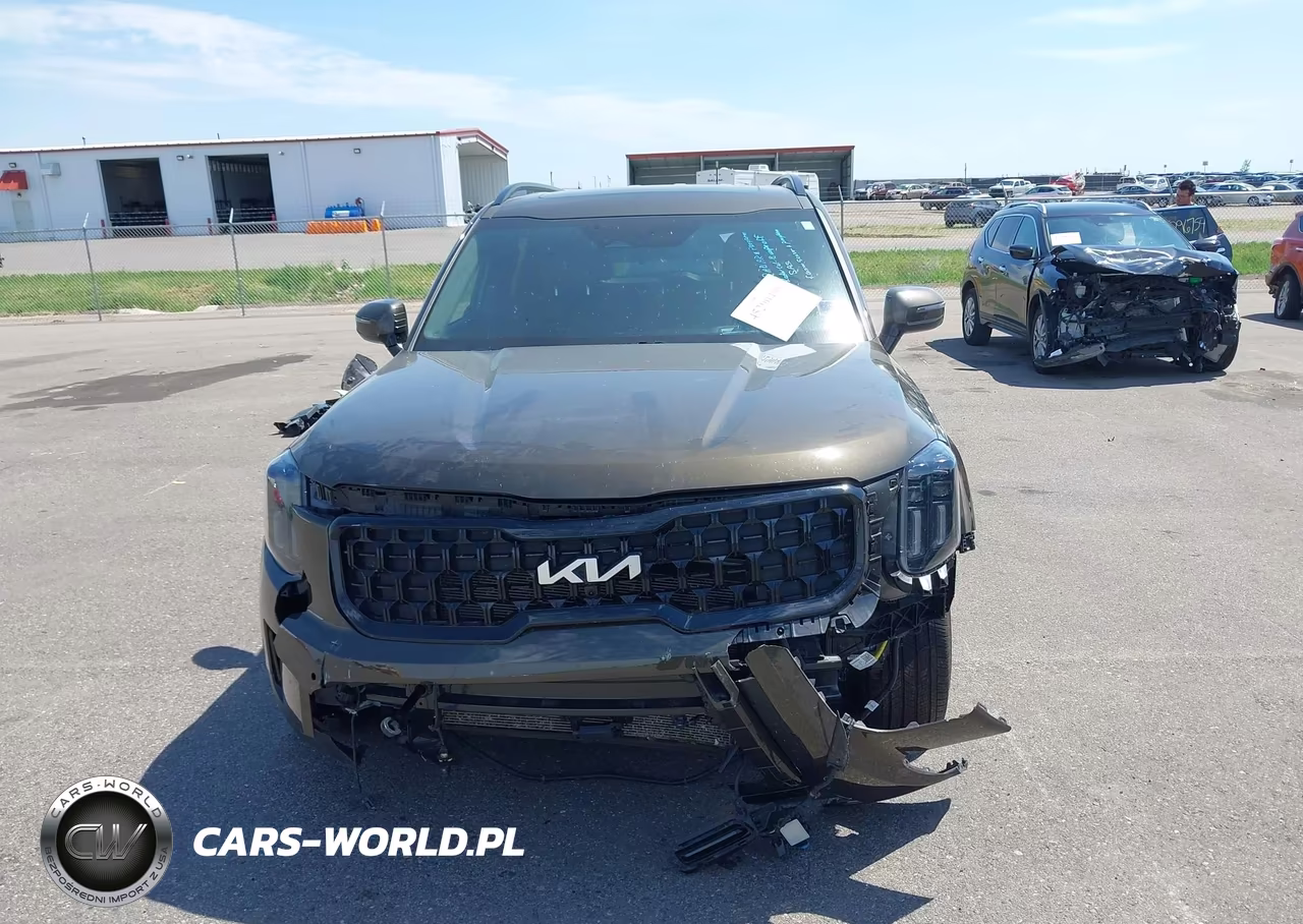 2024 Kia Telluride Sx Prestige X-Line VIN:5XYP5DGC0RG537899 - 6