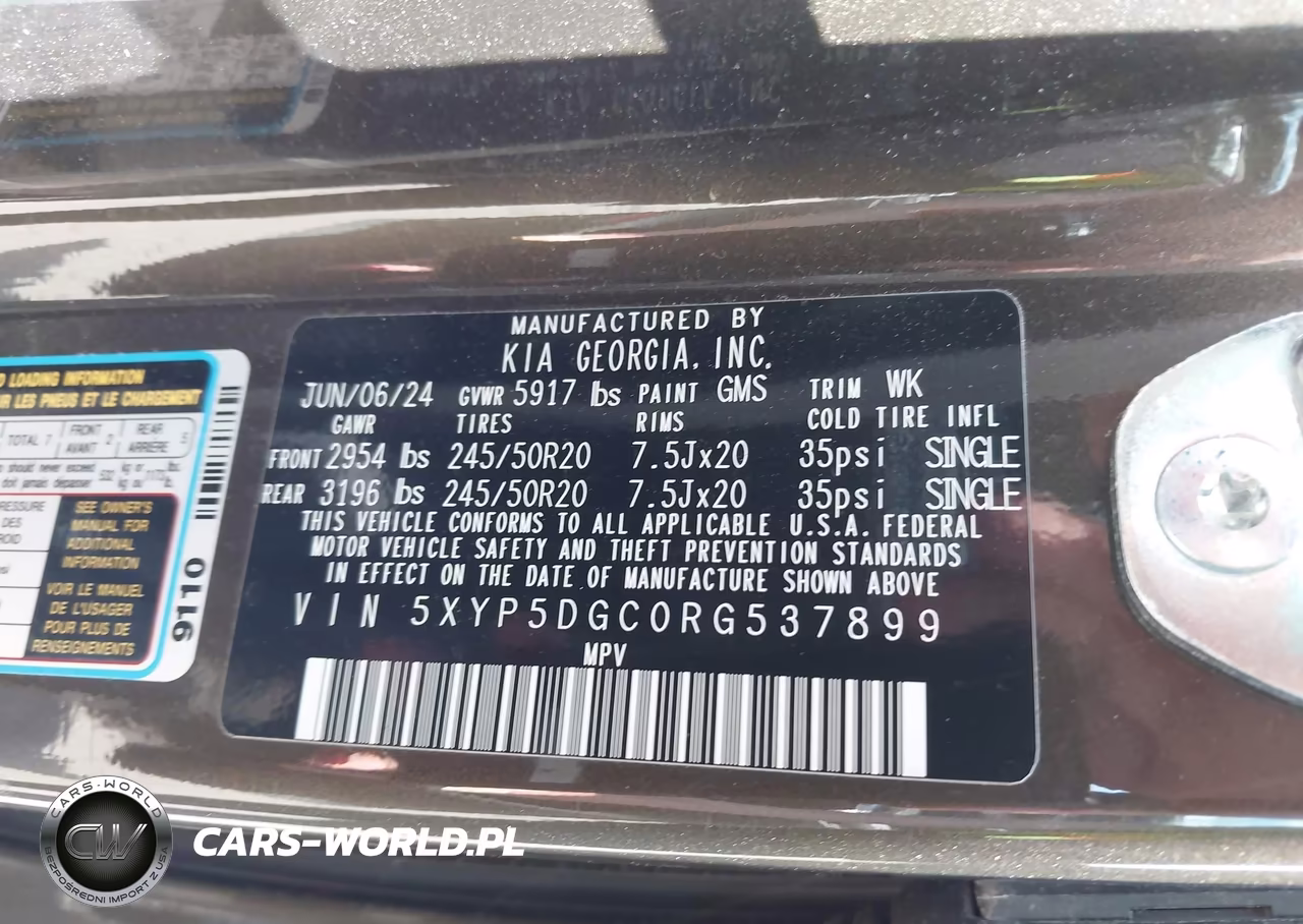 2024 Kia Telluride Sx Prestige X-Line VIN:5XYP5DGC0RG537899 - 9