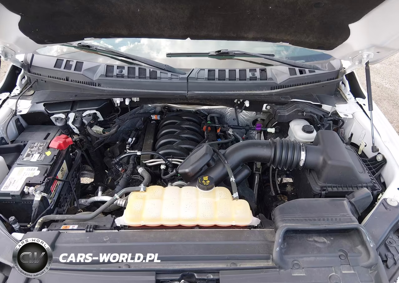 2018 Ford F-150 Platinum VIN:1FTEW1E51JFB88685 - 10