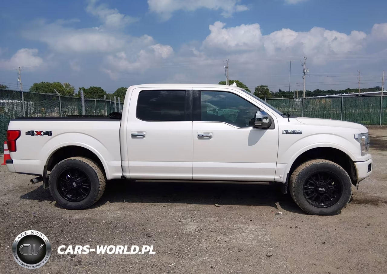 2018 Ford F-150 Platinum VIN:1FTEW1E51JFB88685 - 13