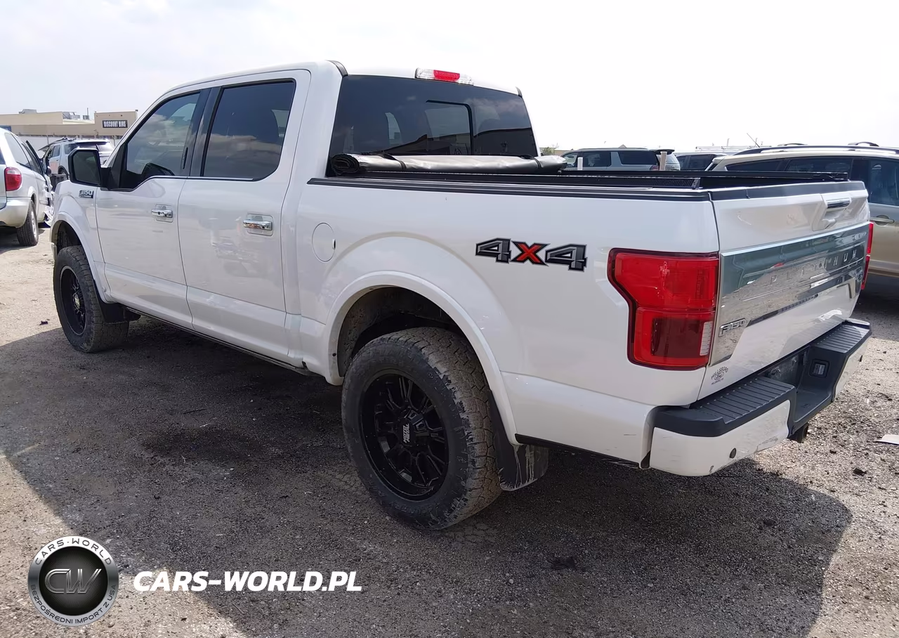 2018 Ford F-150 Platinum VIN:1FTEW1E51JFB88685 - 3
