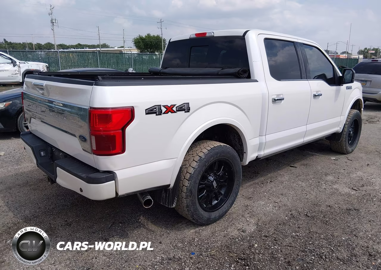 2018 Ford F-150 Platinum VIN:1FTEW1E51JFB88685 - 4