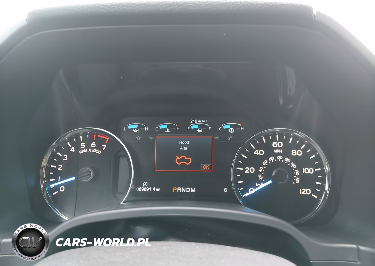 2018 Ford F-150 Platinum VIN:1FTEW1E51JFB88685 - 7