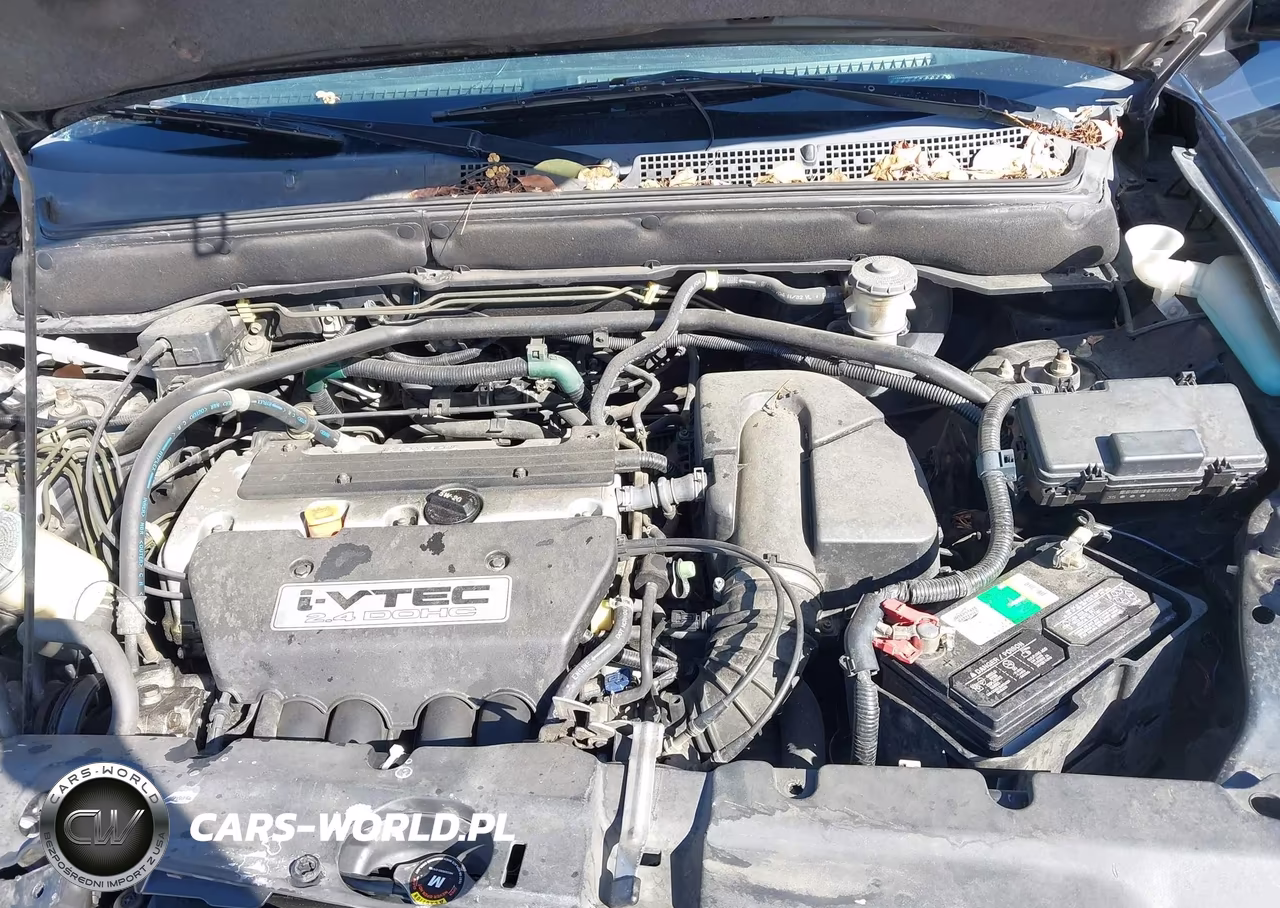 2004 Honda Cr-V Ex VIN:JHLRD78884C043281 - 10