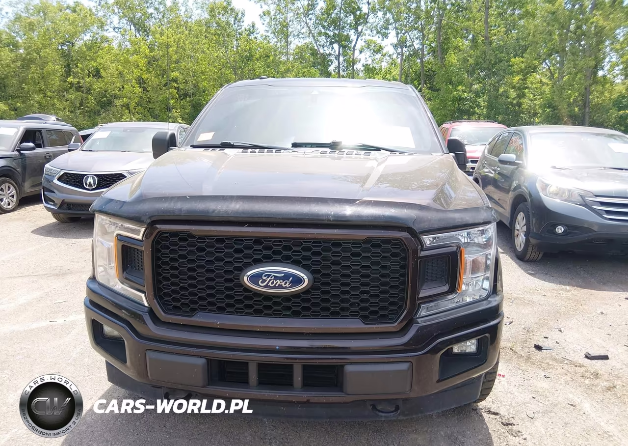 2019 Ford F-150 Xl VIN:1FTEW1EP8KFB95037 - 12