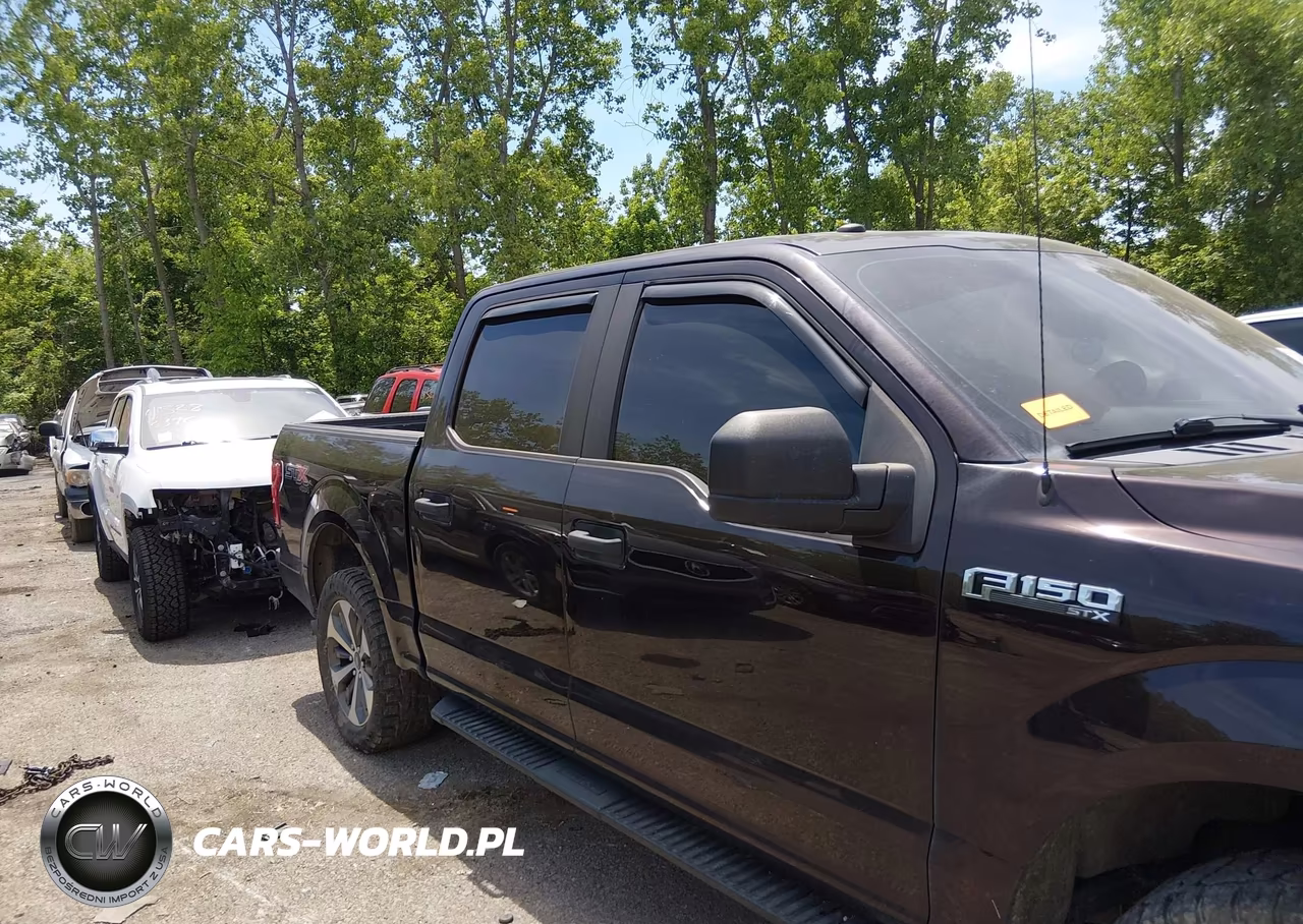 2019 Ford F-150 Xl VIN:1FTEW1EP8KFB95037 - 13