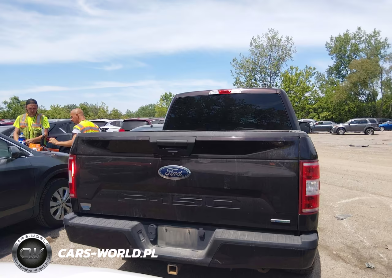 2019 Ford F-150 Xl VIN:1FTEW1EP8KFB95037 - 16