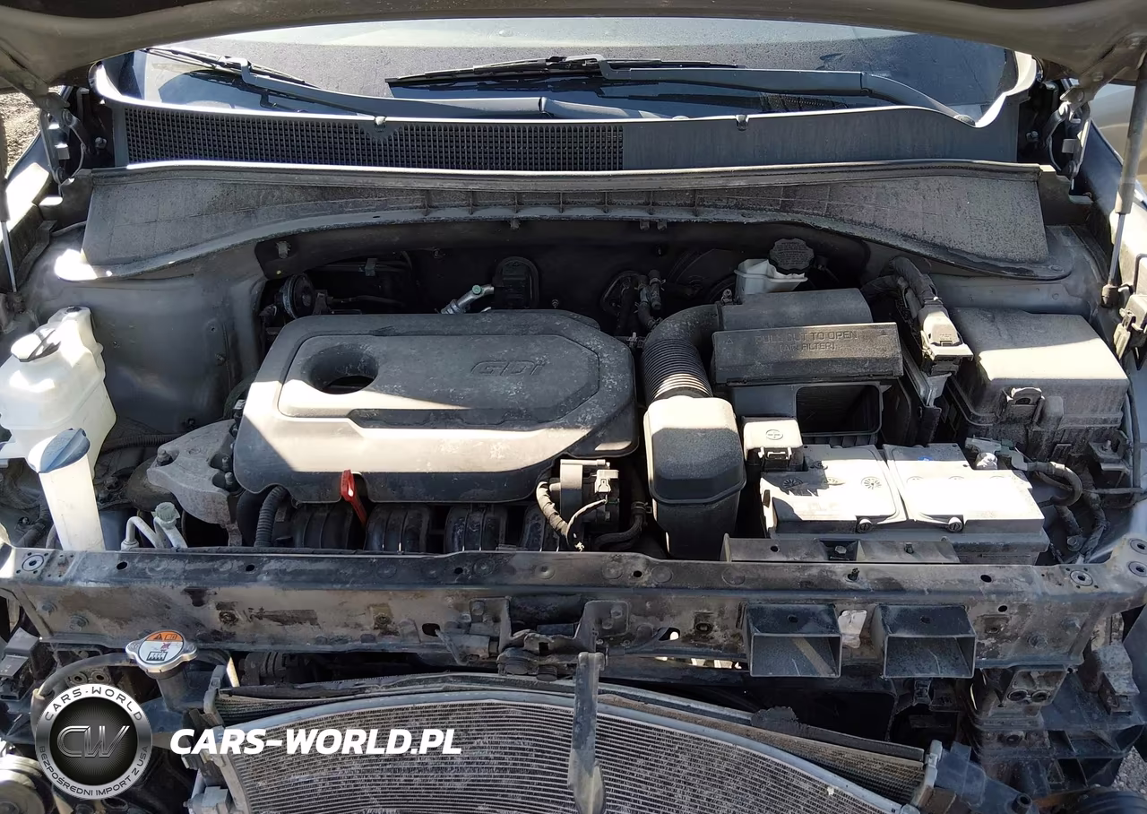 2018 Kia Sorento 2.4L Lx VIN:5XYPGDA3XJG373388 - 10