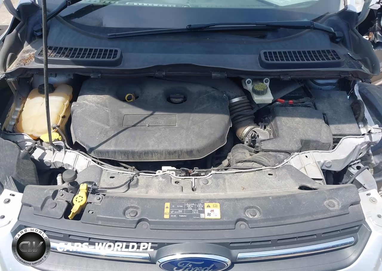 2014 Ford Escape Se VIN:1FMCU9G95EUD57213 - 10