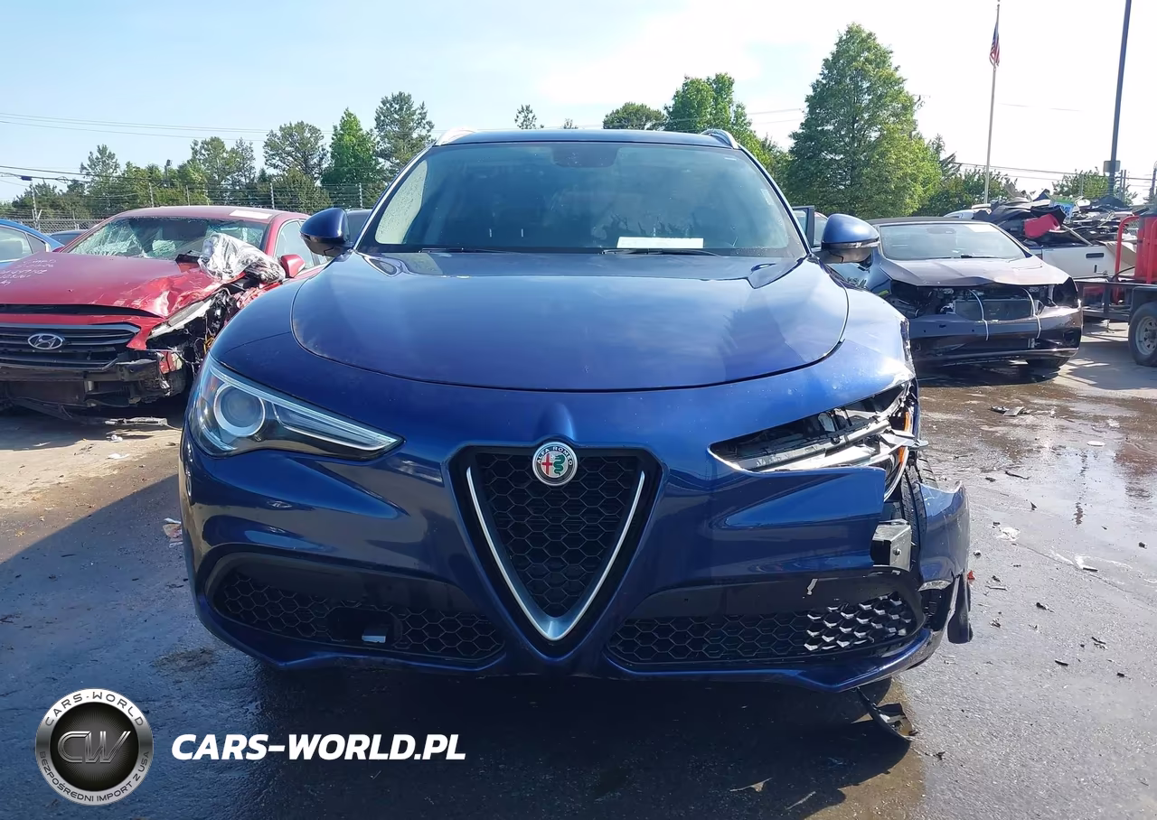 2019 Alfa Romeo Stelvio Rwd VIN:ZASPAJAN4K7C36227 - 12