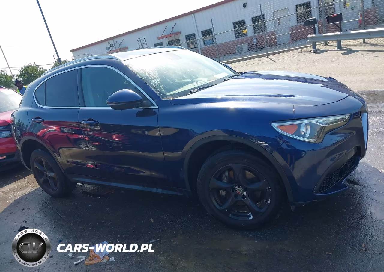 2019 Alfa Romeo Stelvio Rwd VIN:ZASPAJAN4K7C36227 - 13