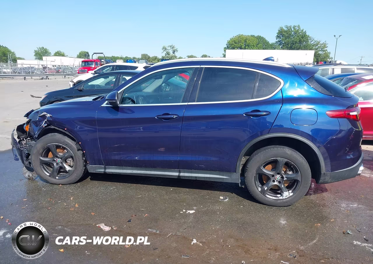 2019 Alfa Romeo Stelvio Rwd VIN:ZASPAJAN4K7C36227 - 14