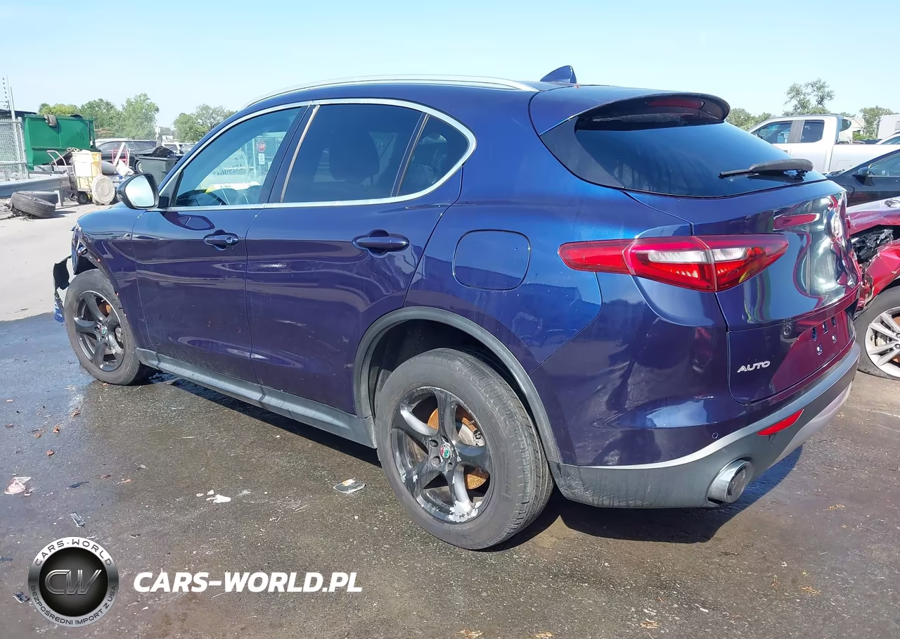 2019 Alfa Romeo Stelvio Rwd VIN:ZASPAJAN4K7C36227 - 3