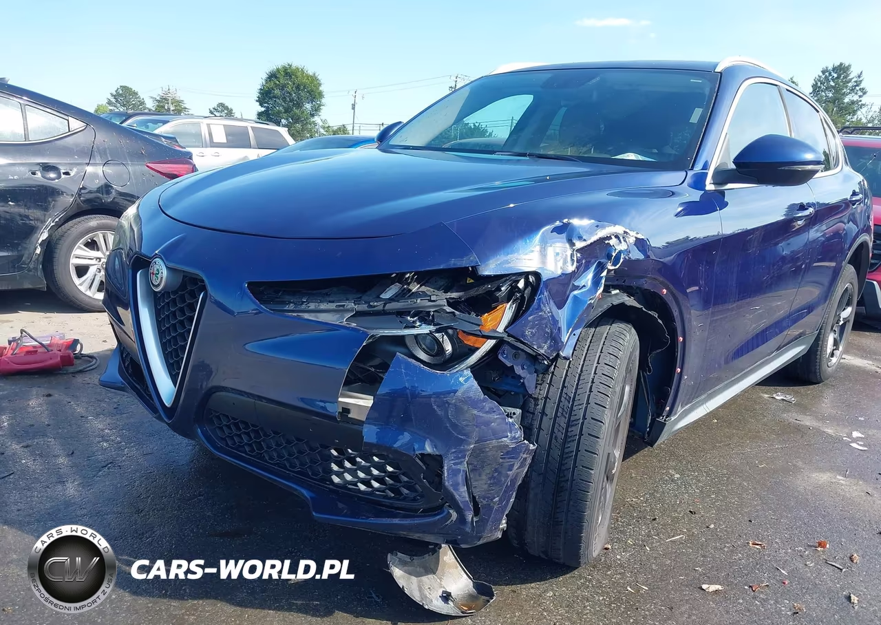 2019 Alfa Romeo Stelvio Rwd VIN:ZASPAJAN4K7C36227 - 6