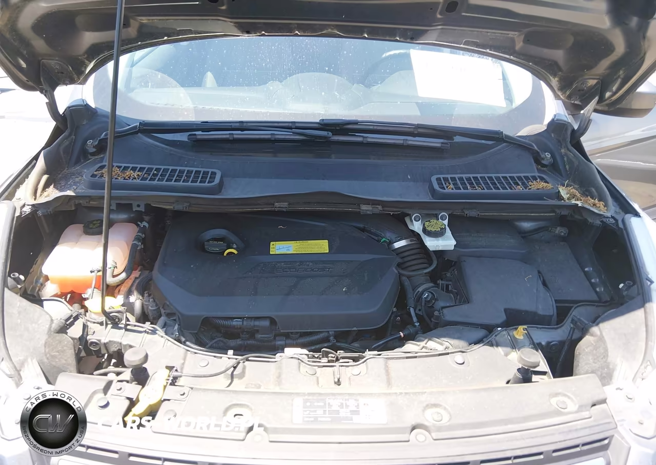 2014 Ford Escape Se VIN:1FMCU0GX2EUB92862 - 10