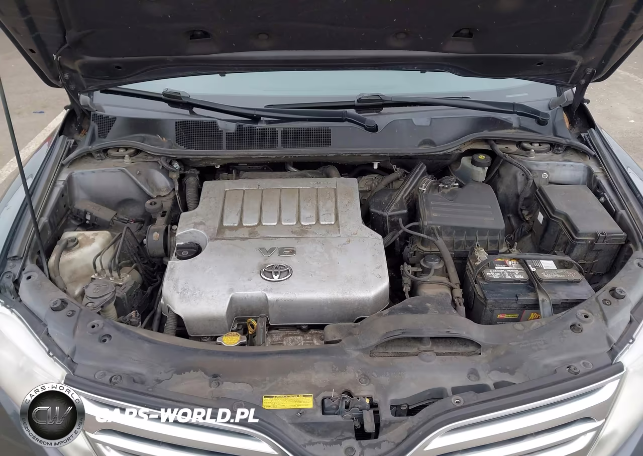 2009 Toyota Venza Base V6 VIN:4T3ZK11A89U001601 - 10