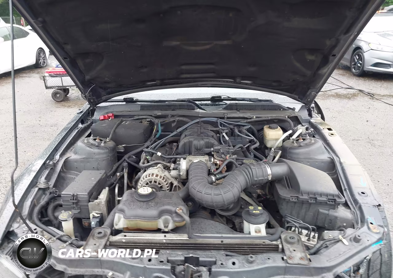 2008 Ford Mustang V6 Deluxe-V6 Premium VIN:1ZVHT80N085160525 - 10