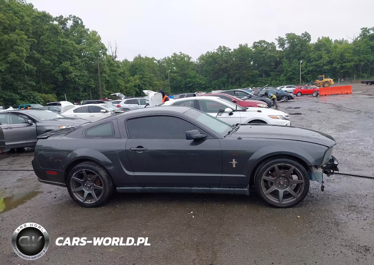 2008 Ford Mustang V6 Deluxe-V6 Premium VIN:1ZVHT80N085160525 - 14