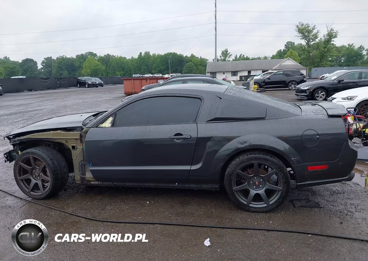 2008 Ford Mustang V6 Deluxe-V6 Premium VIN:1ZVHT80N085160525 - 15