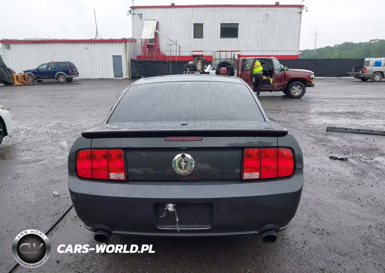 2008 Ford Mustang V6 Deluxe-V6 Premium VIN:1ZVHT80N085160525 - 17