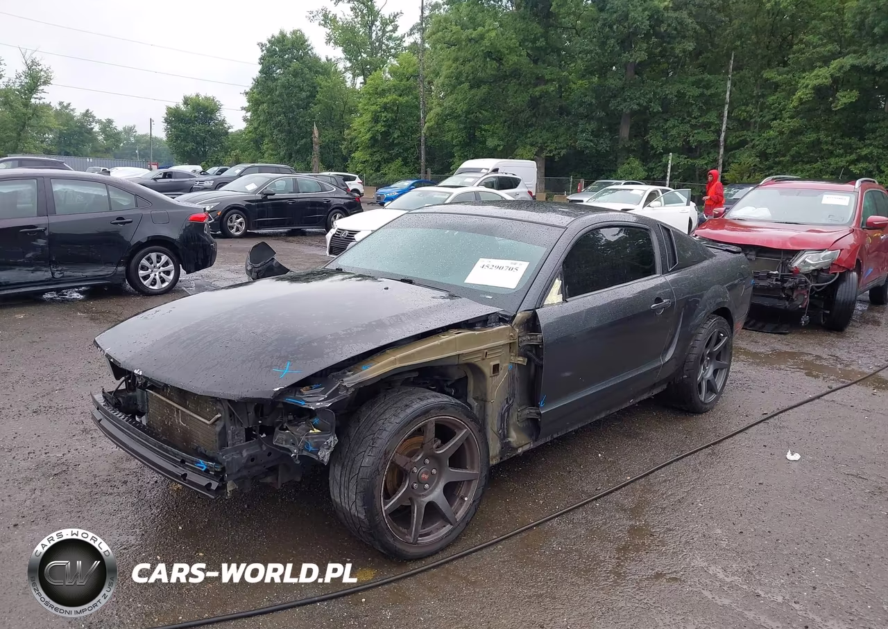 2008 Ford Mustang V6 Deluxe-V6 Premium VIN:1ZVHT80N085160525 - 2