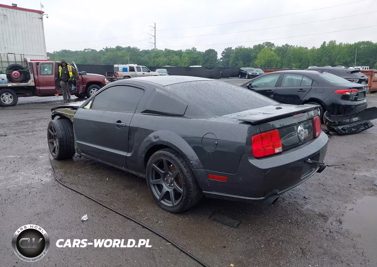 2008 Ford Mustang V6 Deluxe-V6 Premium VIN:1ZVHT80N085160525 - 3
