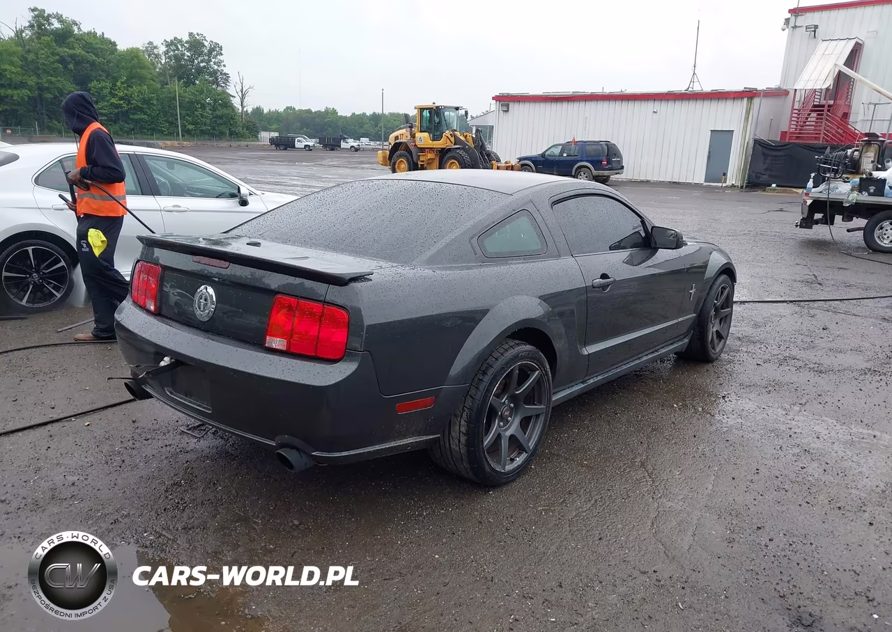 2008 Ford Mustang V6 Deluxe-V6 Premium VIN:1ZVHT80N085160525 - 4