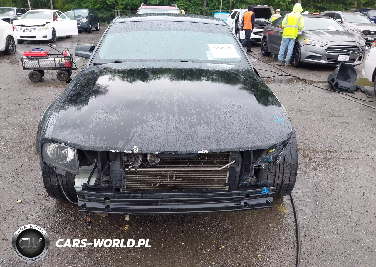 2008 Ford Mustang V6 Deluxe-V6 Premium VIN:1ZVHT80N085160525 - 6