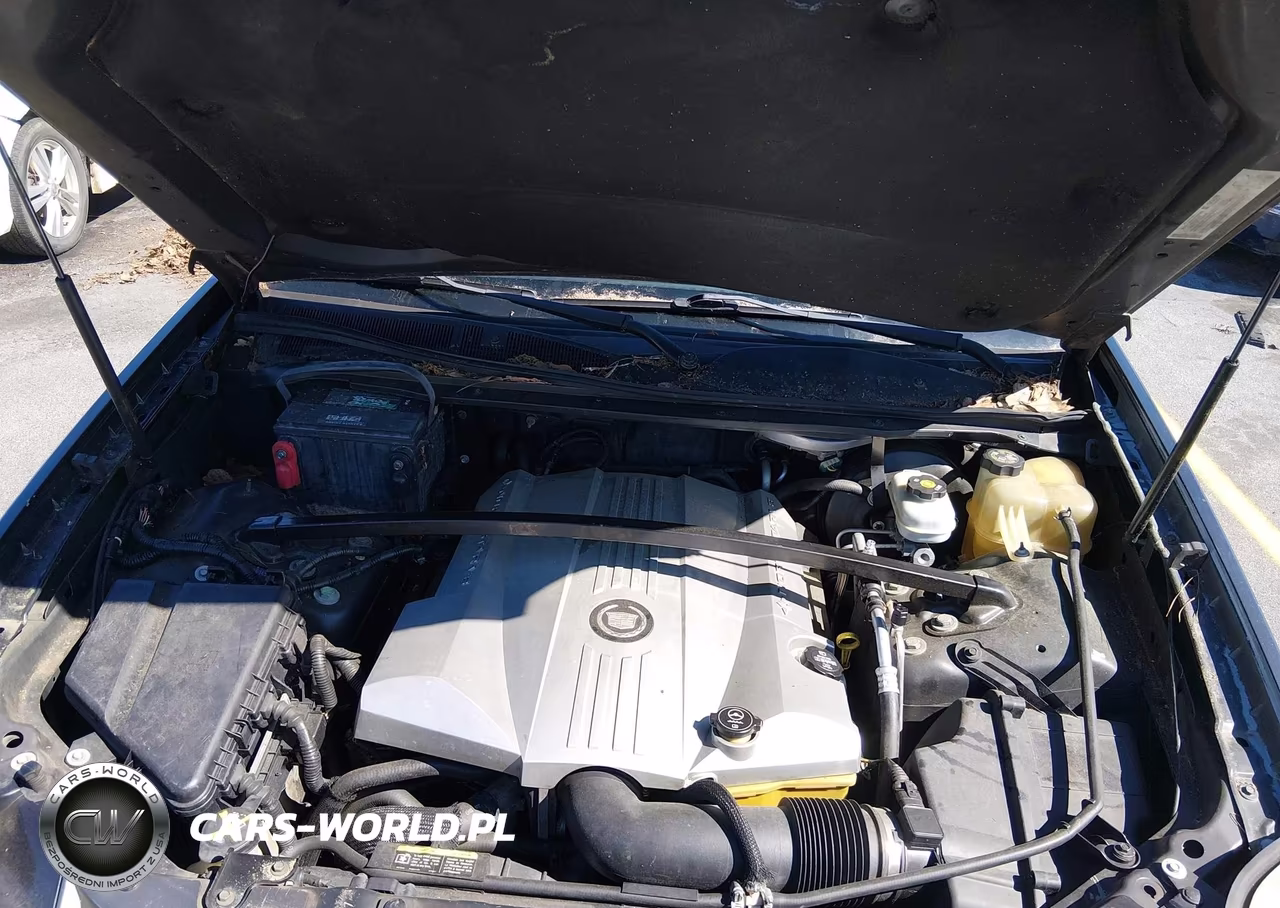 2004 Cadillac Srx V8 VIN:1GYEE63A440145458 - 10