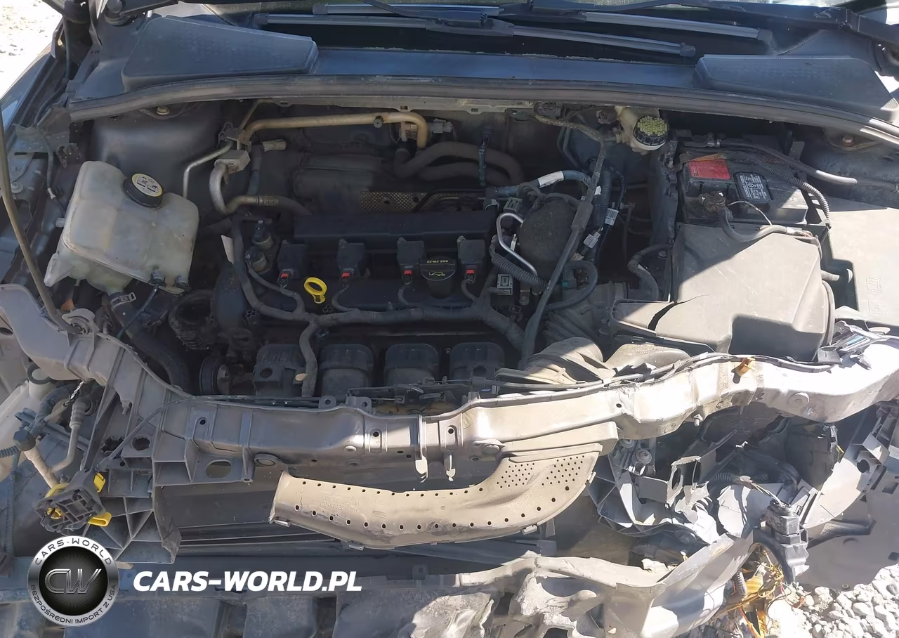 2013 Ford Focus Se VIN:1FADP3F24DL217570 - 10