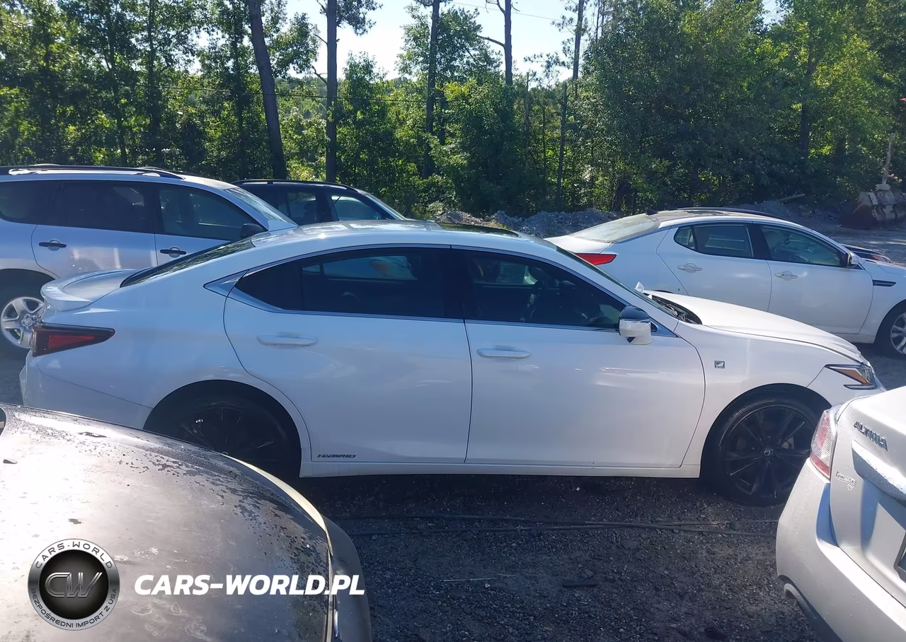 2022 Lexus Es 300H F Sport VIN:58AGA1C19NU016790 - 13