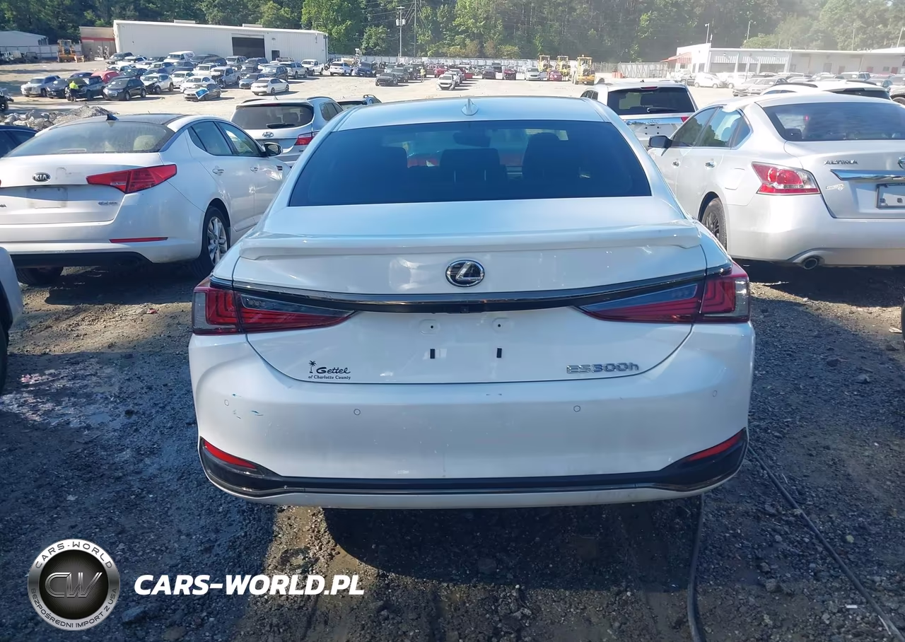 2022 Lexus Es 300H F Sport VIN:58AGA1C19NU016790 - 16