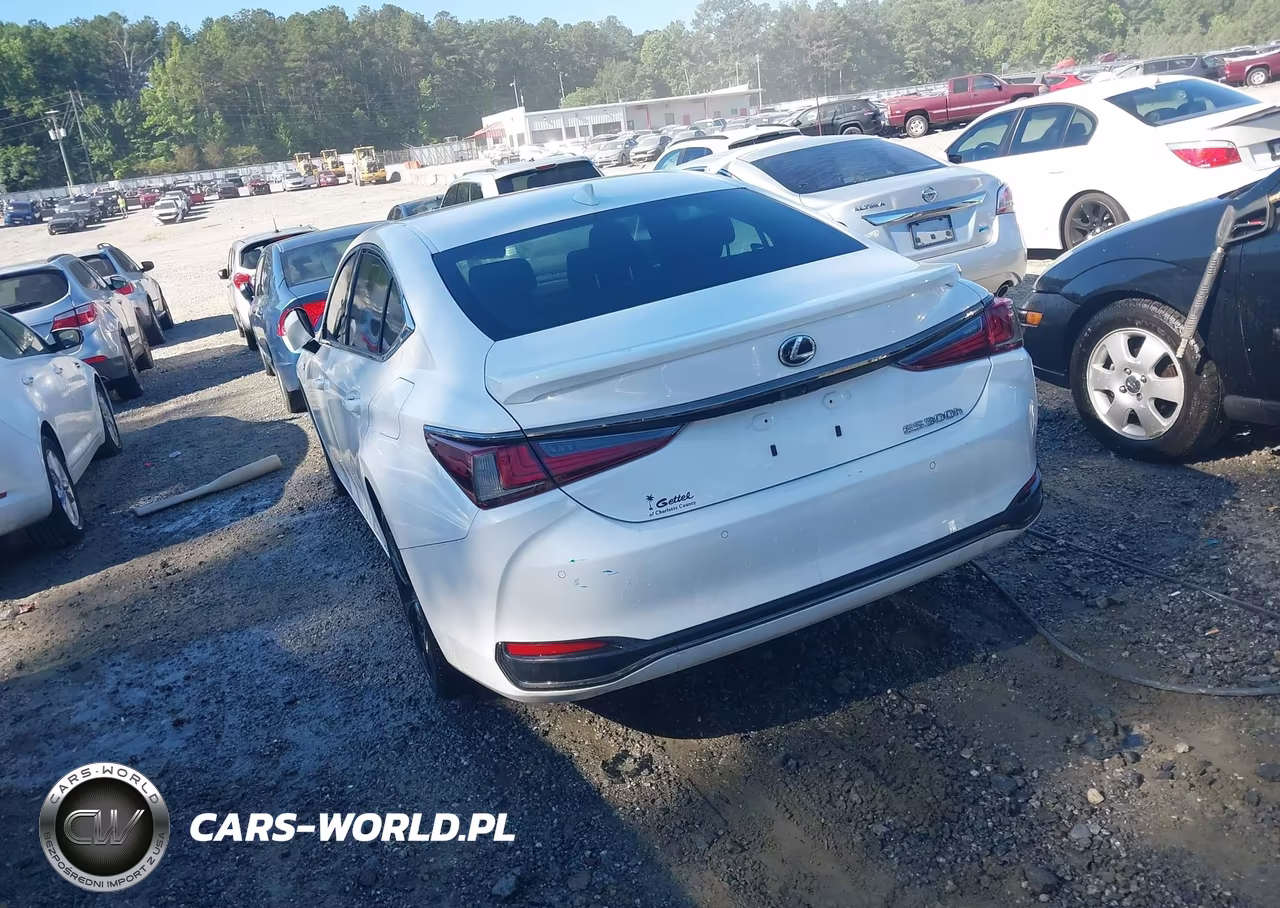 2022 Lexus Es 300H F Sport VIN:58AGA1C19NU016790 - 3