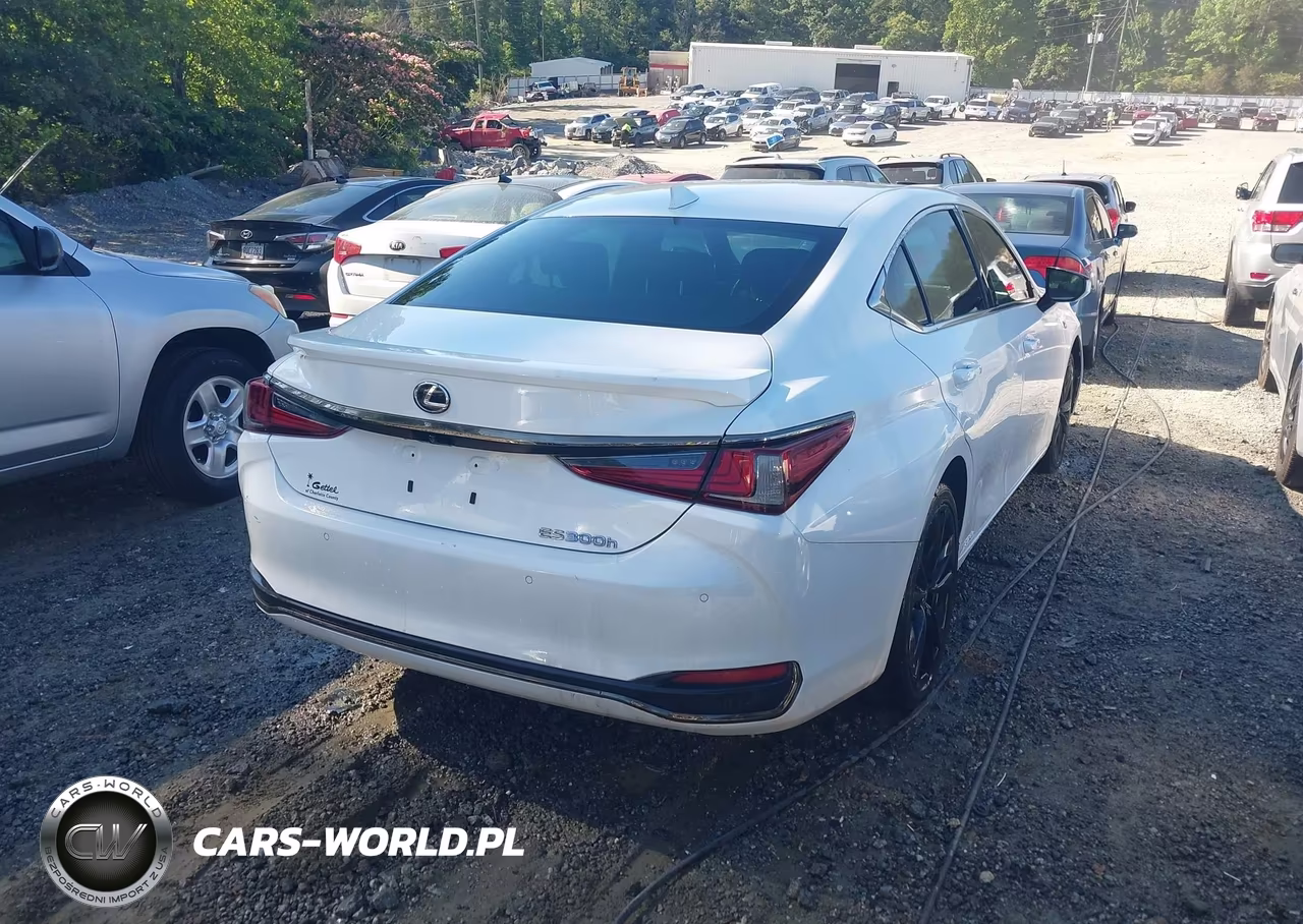 2022 Lexus Es 300H F Sport VIN:58AGA1C19NU016790 - 4