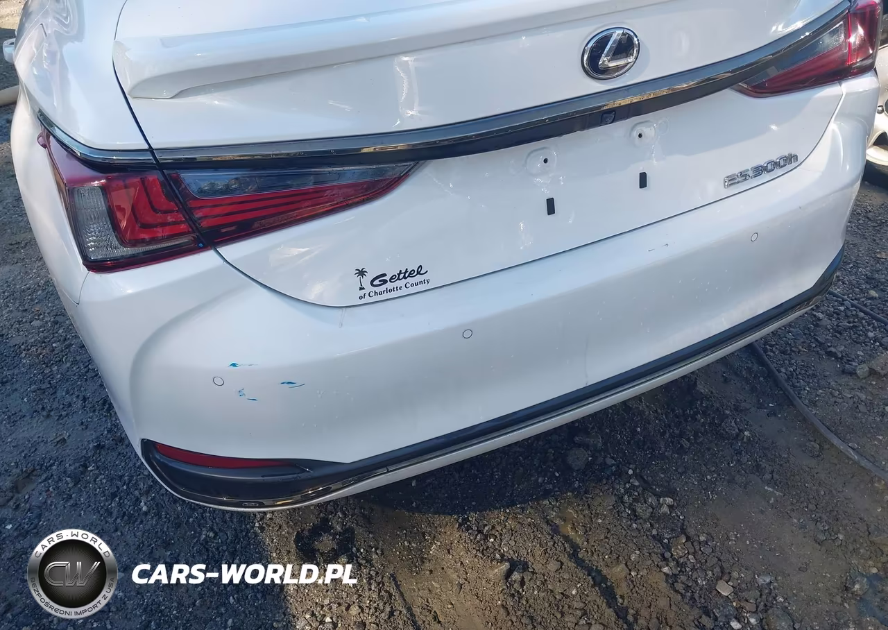 2022 Lexus Es 300H F Sport VIN:58AGA1C19NU016790 - 6