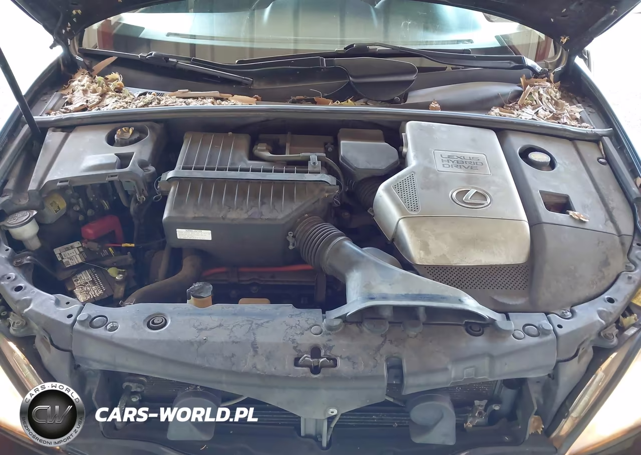 2008 Lexus Rx 400H VIN:JTJHW31U682852287 - 10
