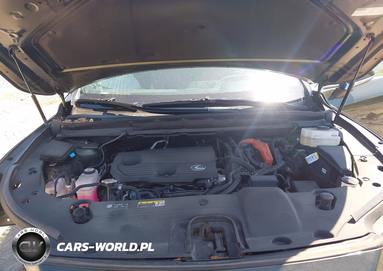 2024 Lexus Rx 350H Premium VIN:2T2BBMCAXRC059411 - 10