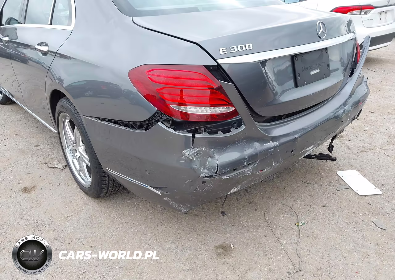 2017 Mercedes-Benz E 300 VIN:WDDZF4JB2HA072309 - 17