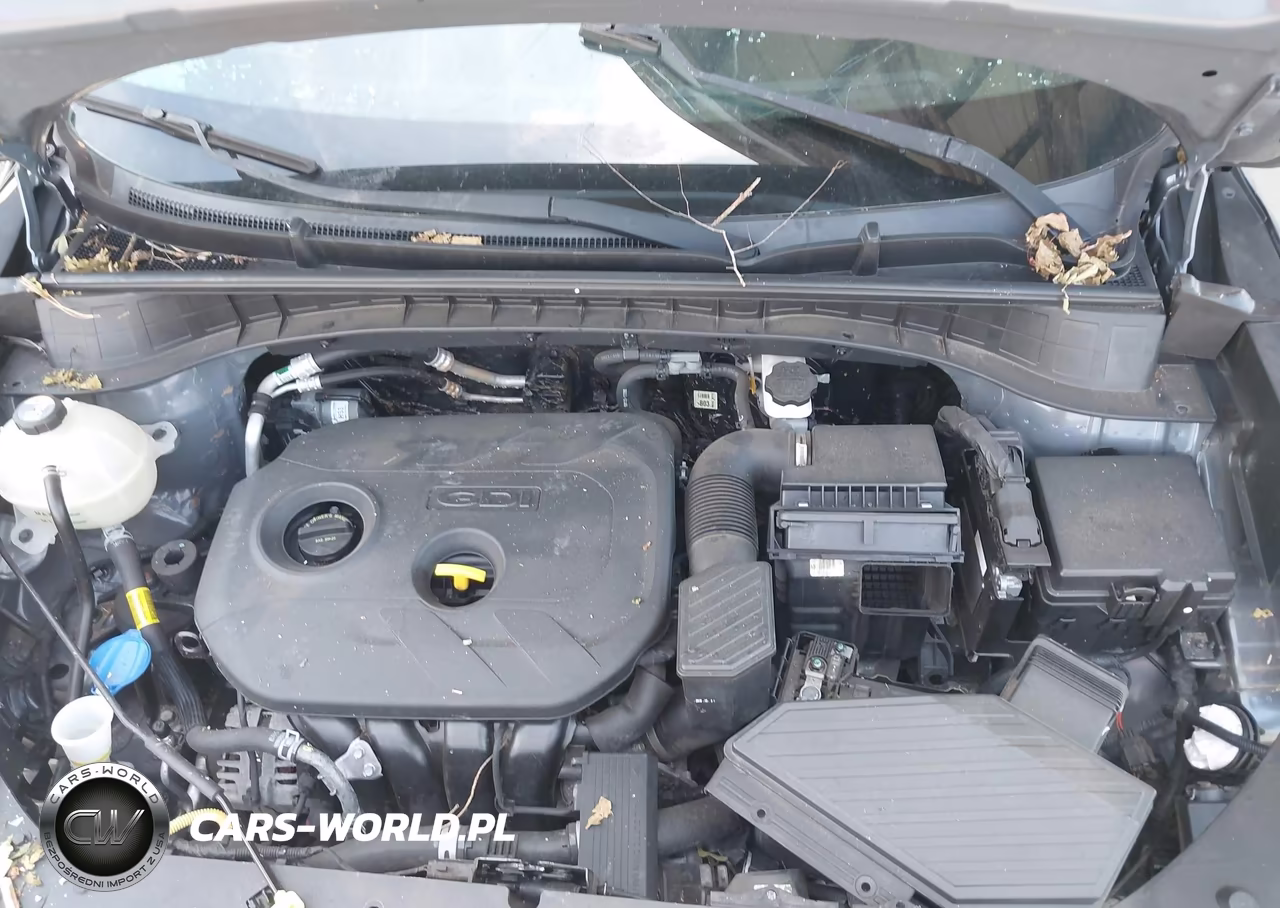 2019 Hyundai Tucson Se VIN:KM8J23A40KU887527 - 10