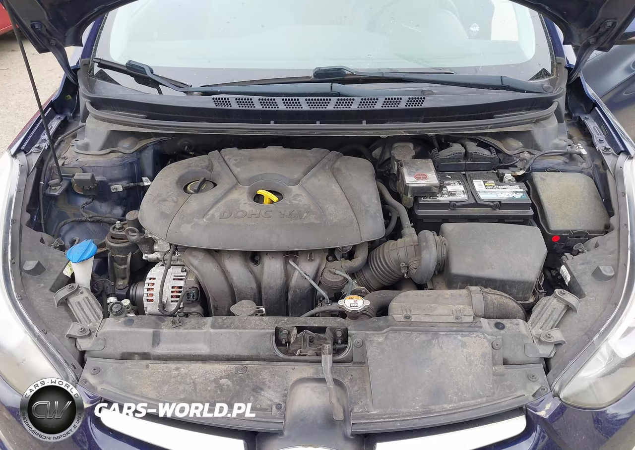 2014 Hyundai Elantra Limited VIN:5NPDH4AE6EH507958 - 10