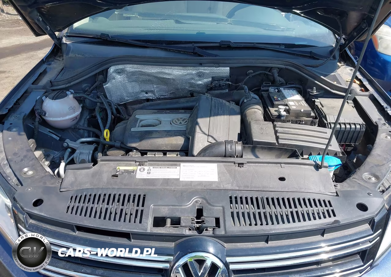 2016 Volkswagen Tiguan S VIN:WVGAV7AX7GW591876 - 10