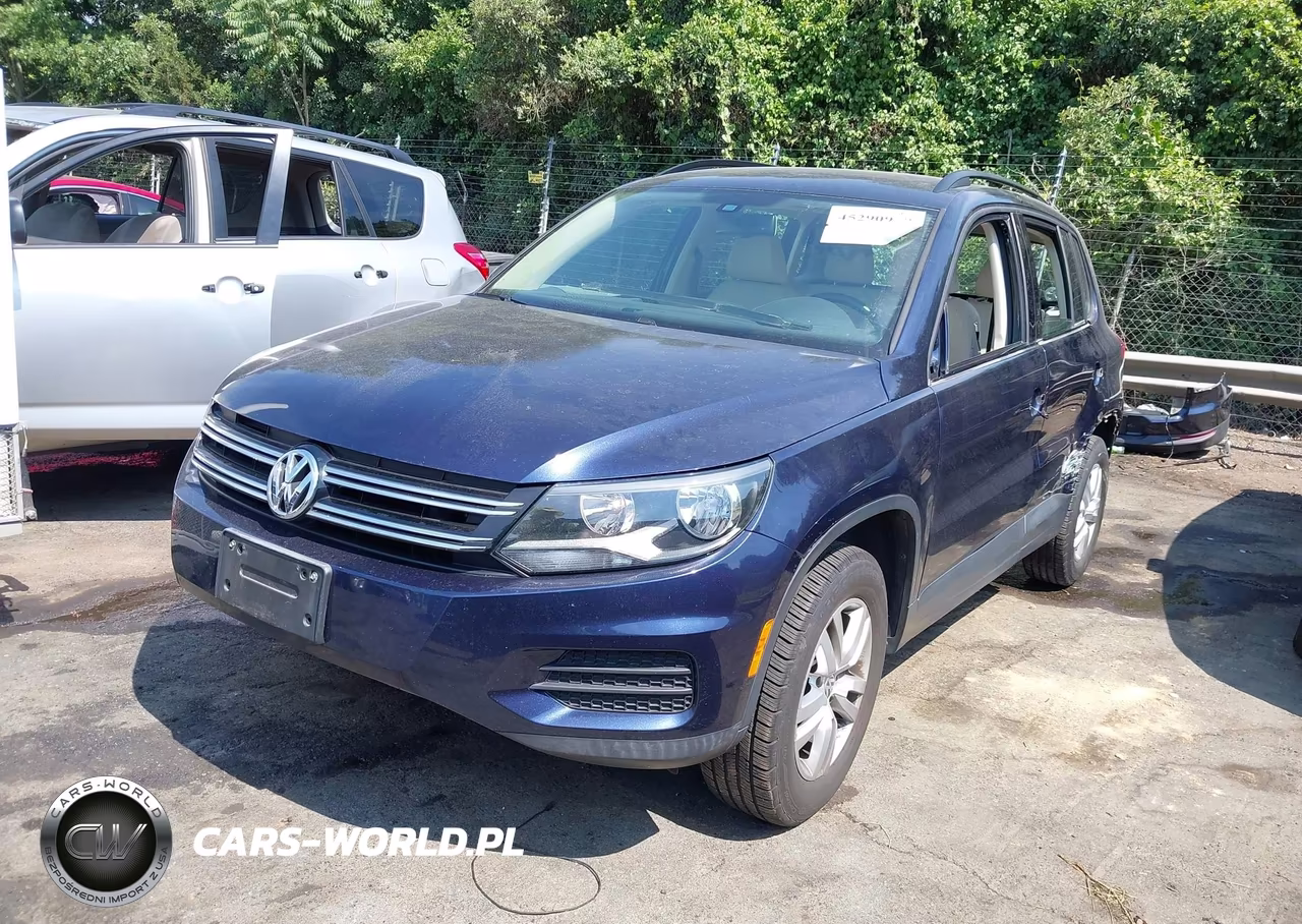2016 Volkswagen Tiguan S VIN:WVGAV7AX7GW591876 - 2