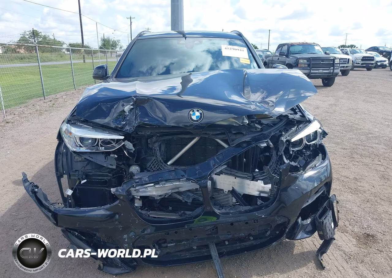 2021 BMW X3 Phev xDrive30E VIN:5UXTS1C03M9H14684 - 12