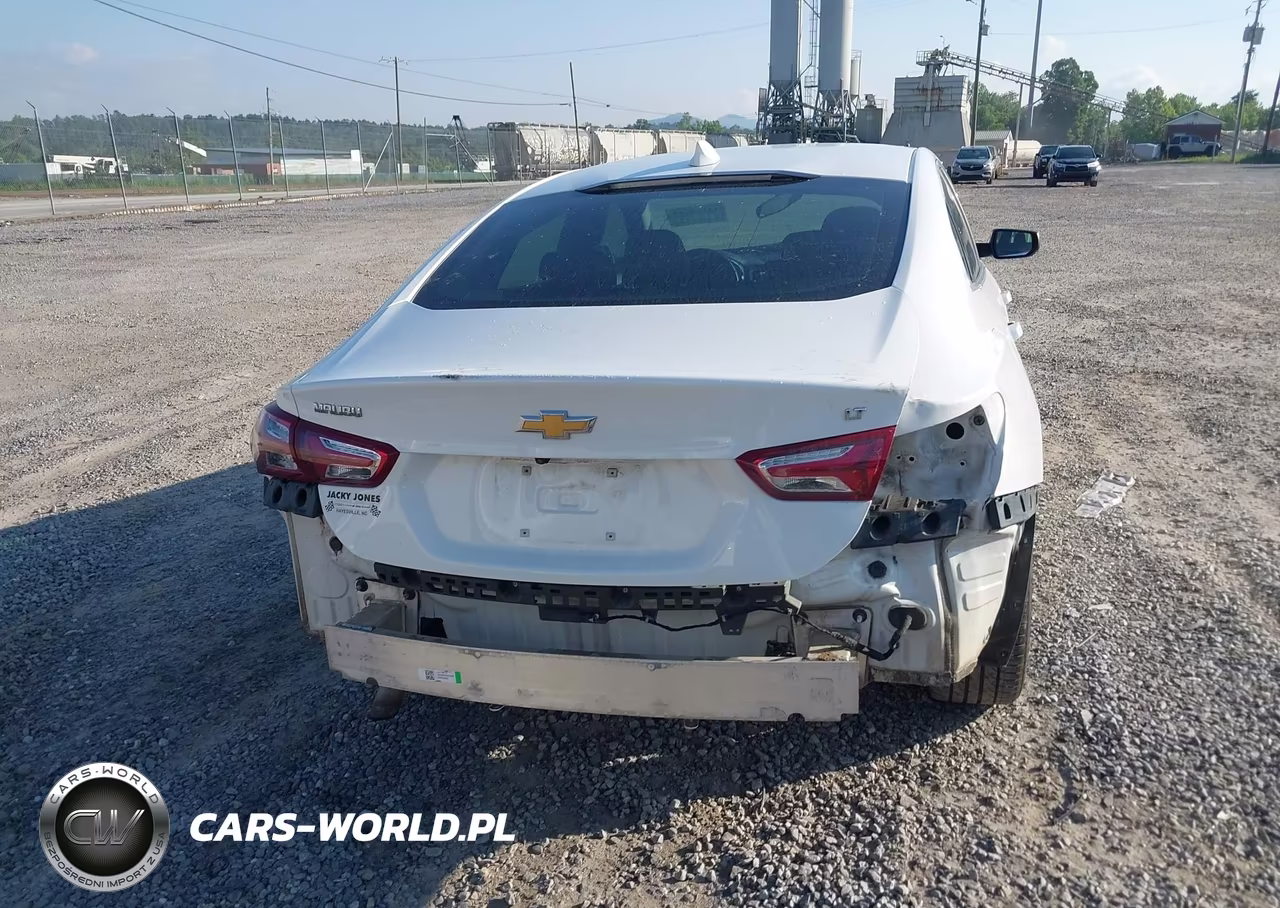 2020 Chevrolet Malibu Fwd Lt VIN:1G1ZD5ST9LF145239 - 17