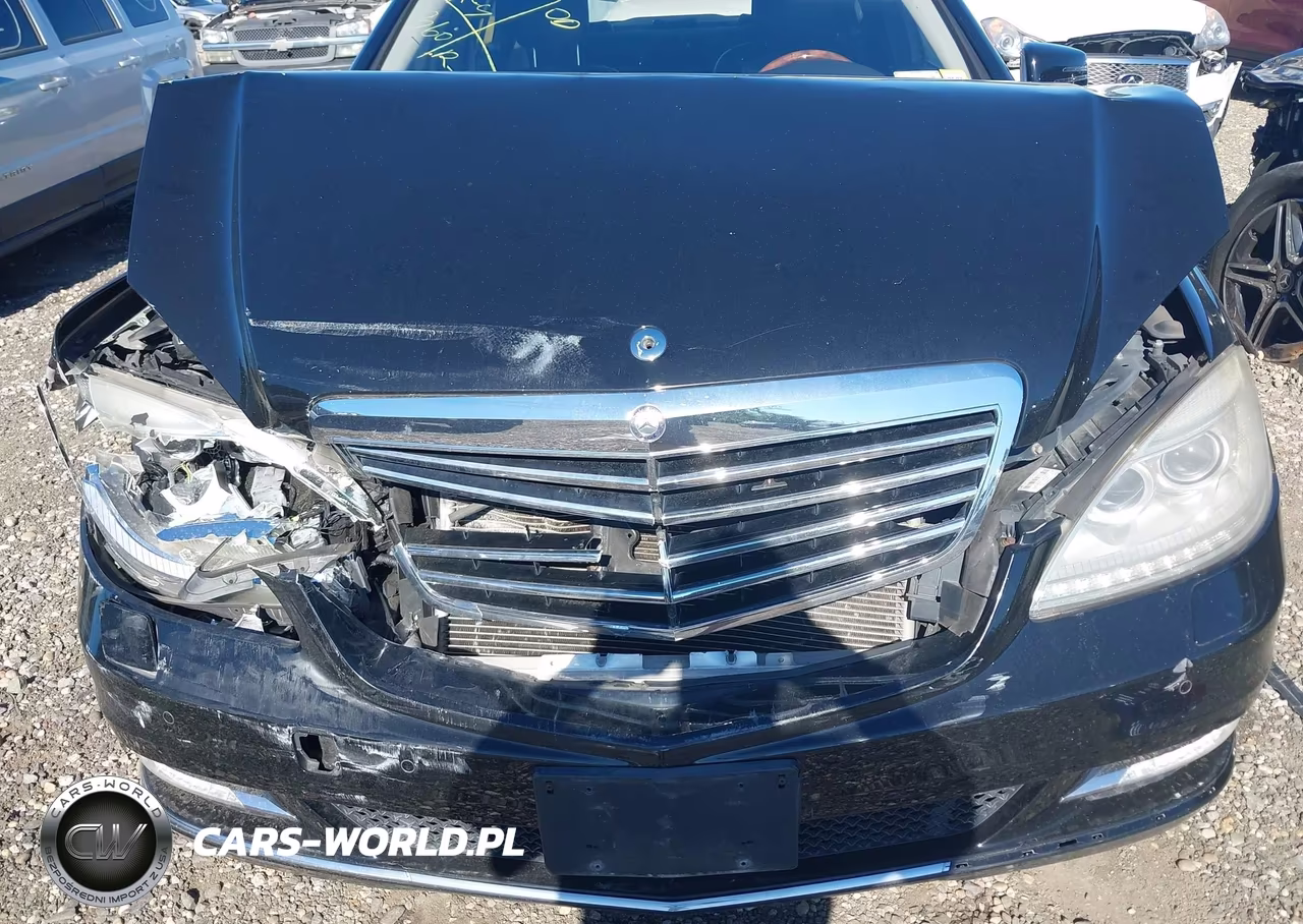 2010 Mercedes-Benz S 550 4Matic VIN:WDDNG8GB7AA358527 - 10
