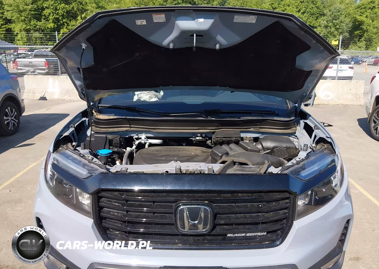 2024 Honda Passport Awd Black VIN:5FNYF8H88RB009764 - 10